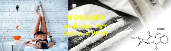 спиды Вяземский